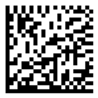 image-20251221164113859